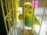 DSC00290E001.JPG