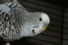 DSC03562.JPG