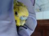20130420_171818.jpg