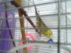 20130421_125016.jpg