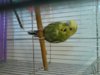 20130421_130142.jpg