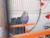 DSCN0609.JPG