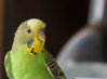 DSC_6102.jpg