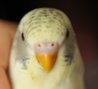 DSC_6375.JPG