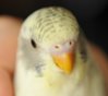 DSC_6376.JPG