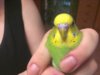 IMG158_thumb.jpg