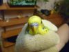 P1030215_thumb.jpg
