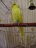 DSC02263.JPG