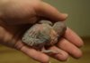 DSC_1219.JPG