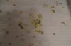 DSC04289.JPG