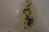 DSC04294.JPG