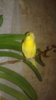20161009_102545.jpg