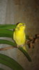 20161009_102552.jpg