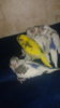 20161009_103120.jpg