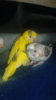 20161009_102827.jpg