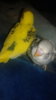 20161009_102755.jpg