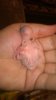 WP_20161008_006.jpg