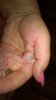 WP_20161008_004.jpg