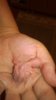 WP_20161008_009.jpg