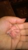 WP_20161008_010.jpg