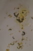 DSC04298.JPG