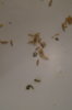 DSC04295.JPG