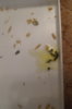 DSC04300.JPG