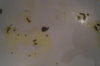 DSC04312.JPG