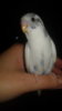 20161011_164012.jpg