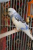 IMG_7800.JPG