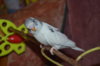 DSC_0042.JPG