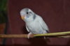 DSC_0036.JPG
