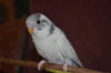DSC_0043.JPG