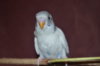 DSC_0037.JPG