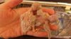 IMG-20161011-WA0054.jpg