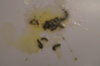 DSC04328.JPG