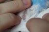 221c62f874.jpg