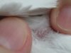 e11f579283.jpg