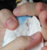 5e773bd783.jpg