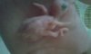 20161014_124138.jpg