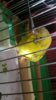 IMG-20161012-WA0002.jpeg