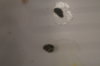 DSC04333.JPG