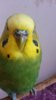 20161015_125451.jpg