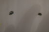 DSC04342.JPG