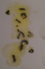 DSC04341.JPG