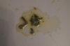 DSC04339.JPG