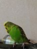 20161015_215457.jpg