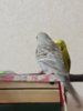 20161015_215349.jpg