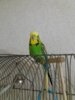 20161015_215136.jpg