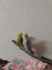 20161015_213557.jpg